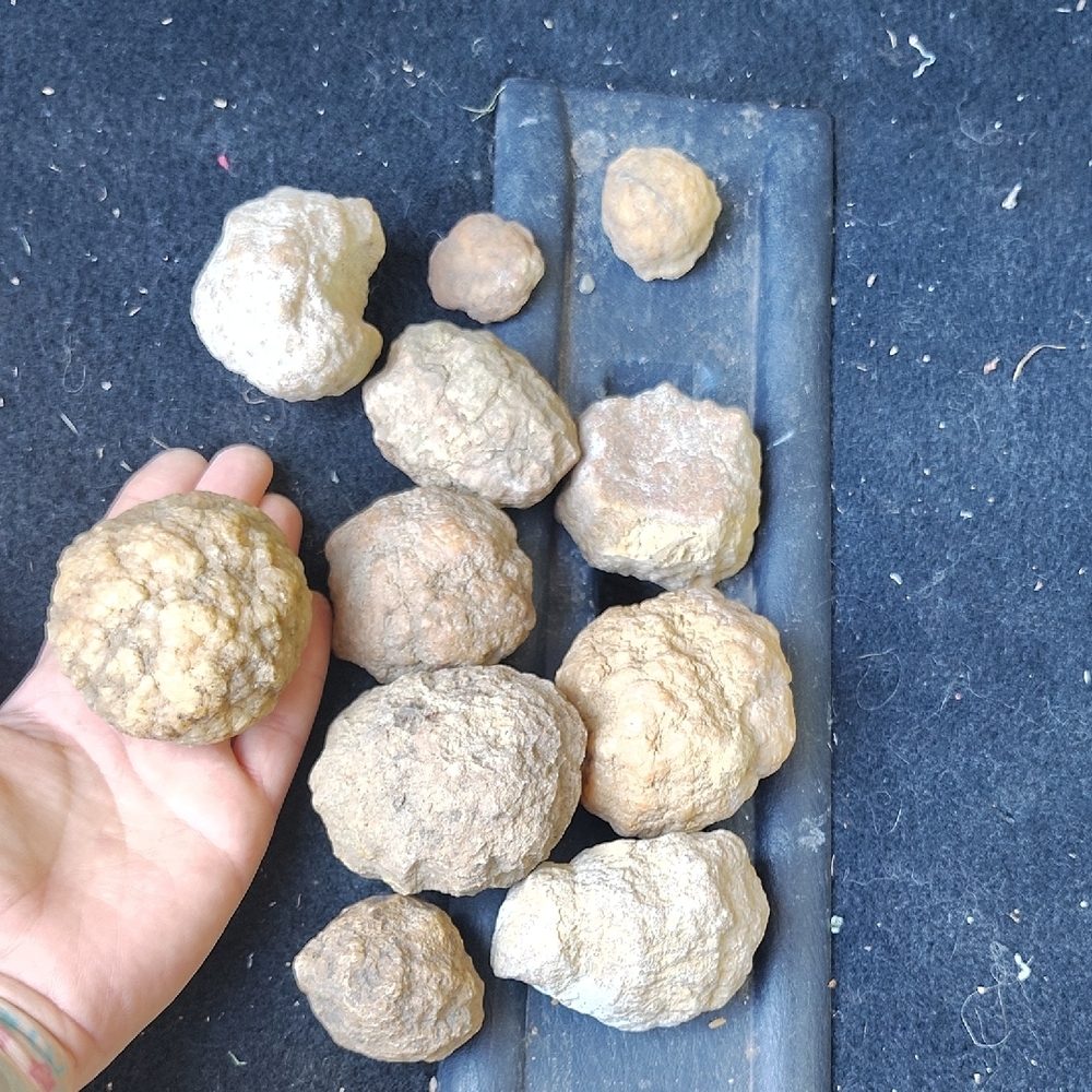 Geodes - Picture 3 of 6